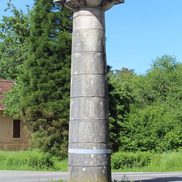 Photo de Borne-colonne N2 de la forêt de Chaux à Augerans